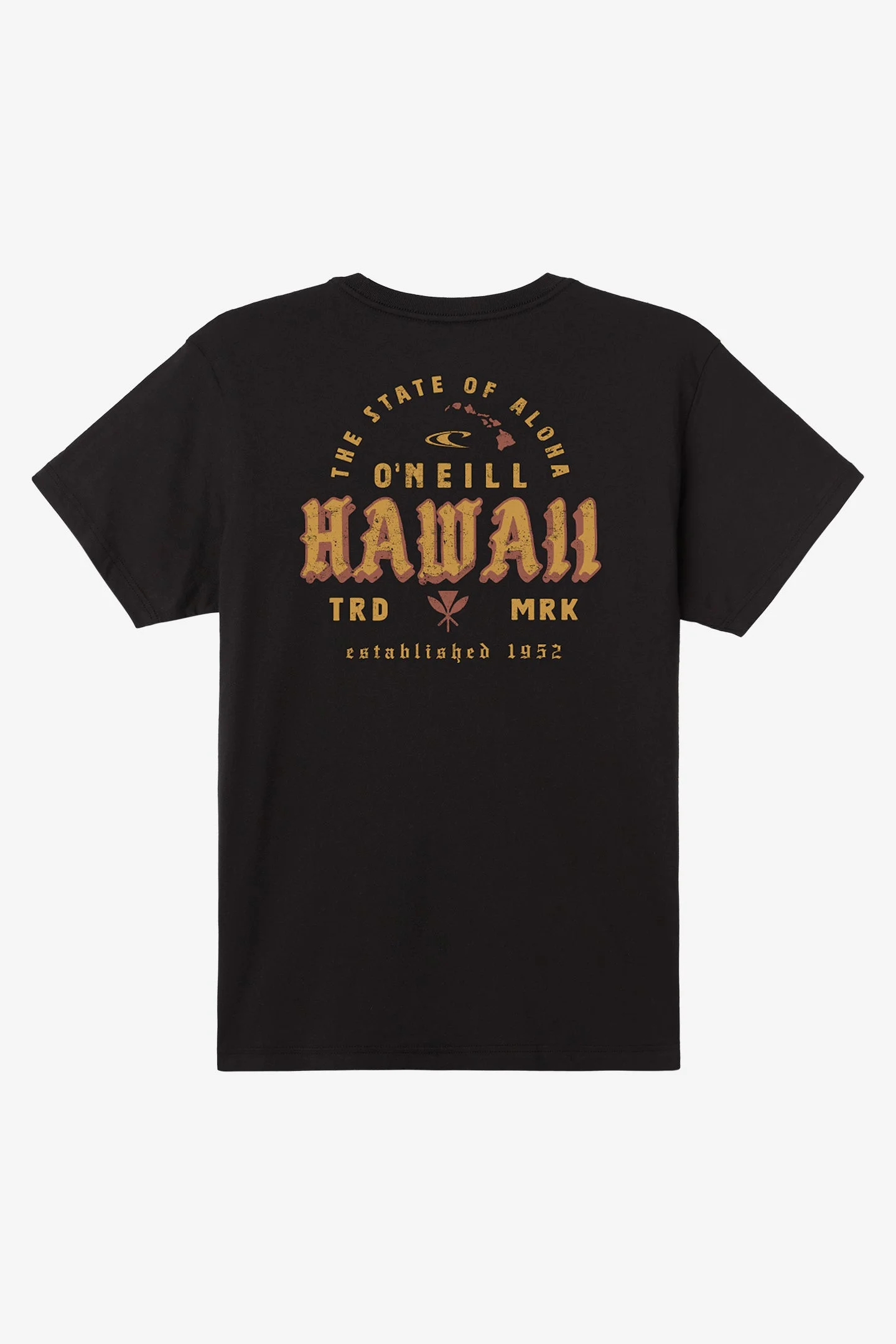Hawaii Arc Classic Tee - 1