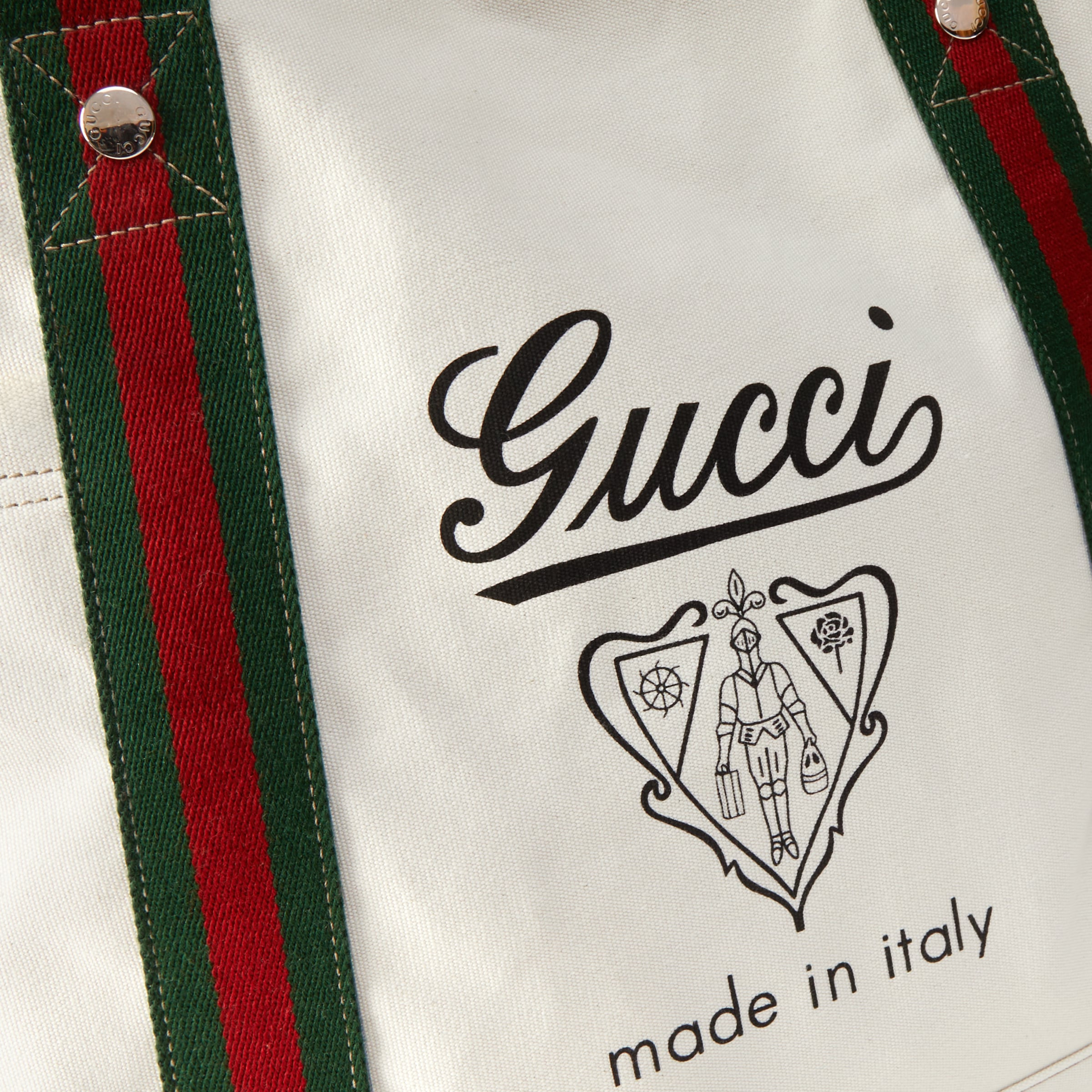 Medium printed canvas bag with Web - 6