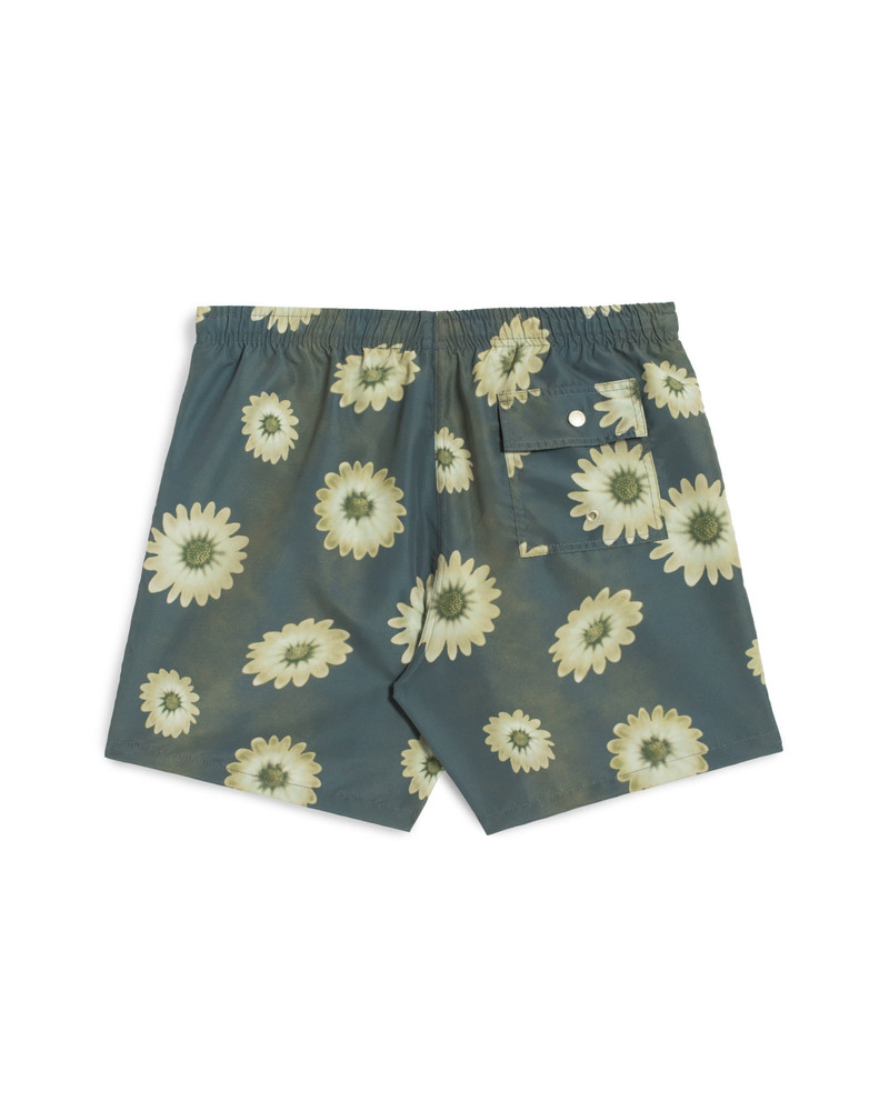 Concrete Air Garden Swim Trunk 3