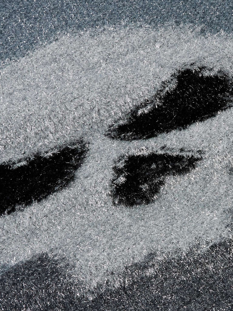 Metallic Intarsia-Knit Sweater 4