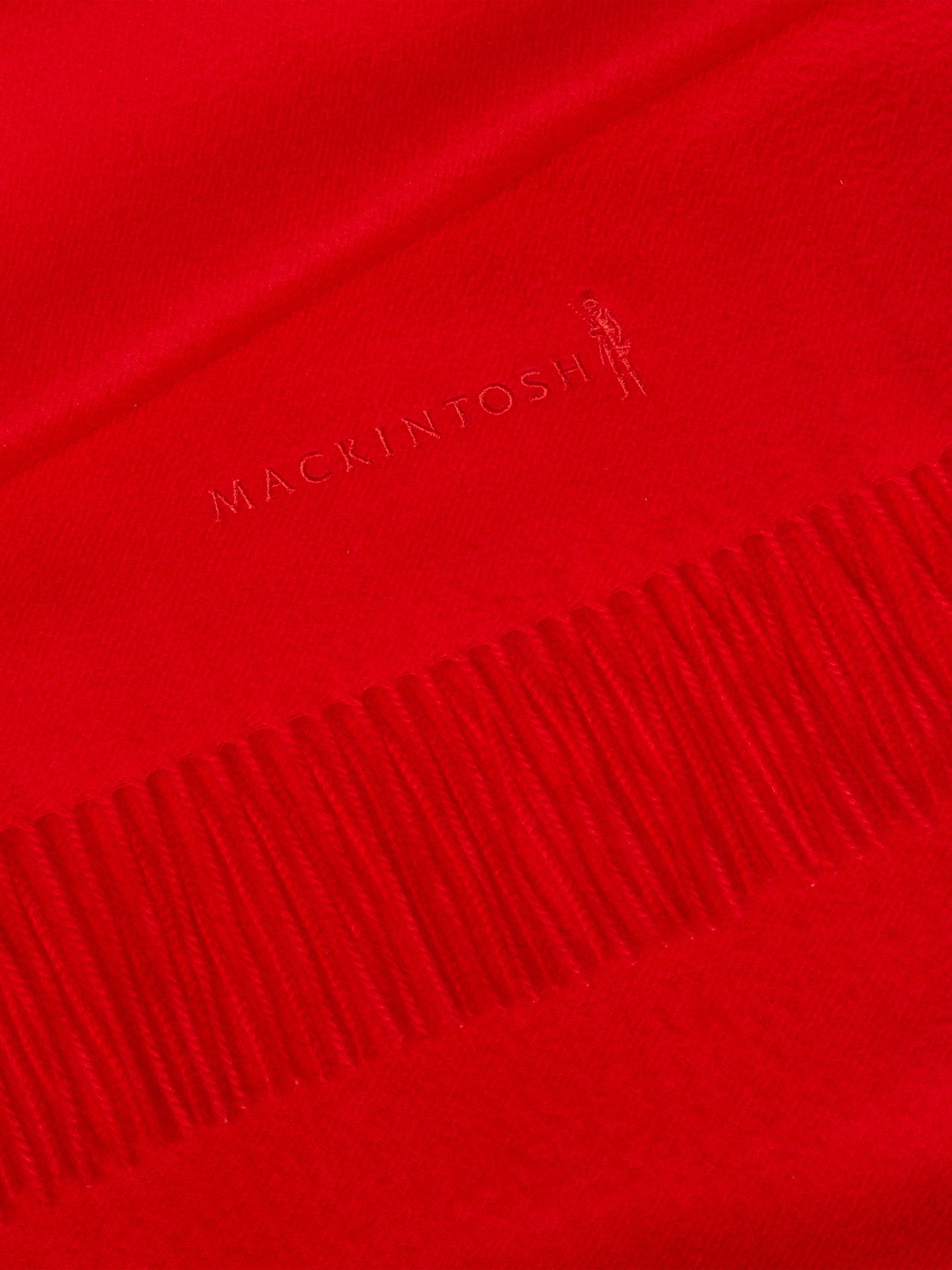 EMBROIDERED CASHMERE SCARF - 2