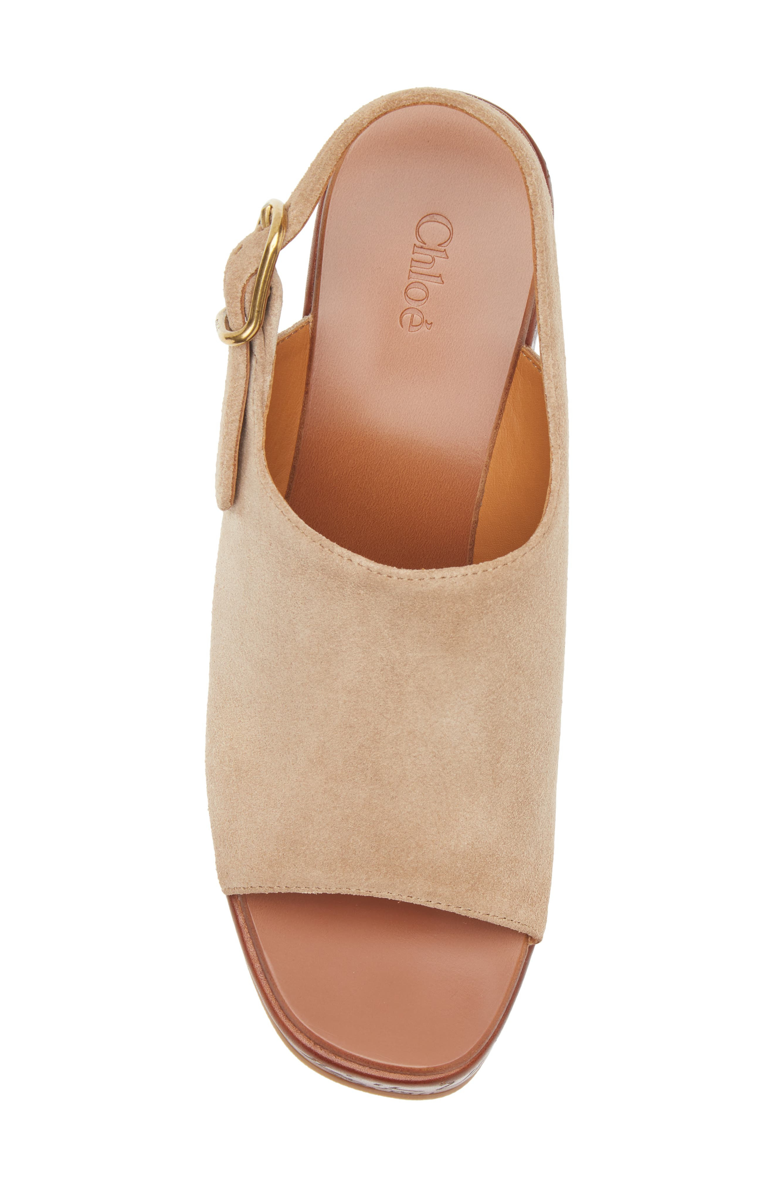 Chloé Maxime Platform Slingback Sandal in Sandy Brown at Nordstrom - 5