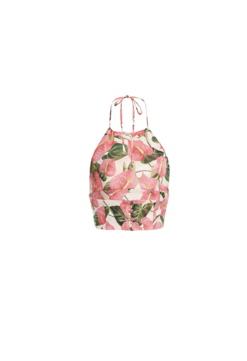 Castana Anturios Cropped Top 3
