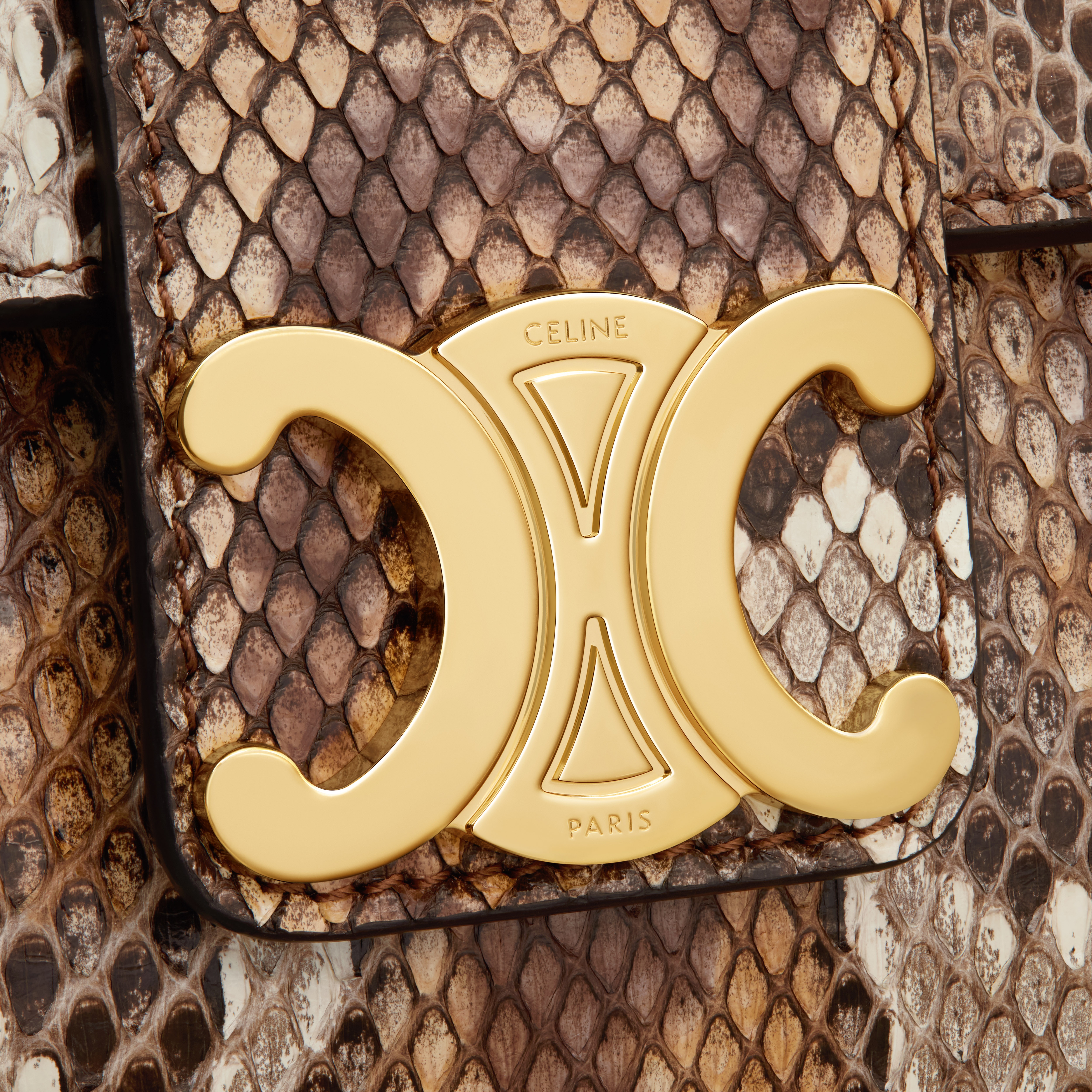 TEEN CELINE VICTOIRE BAG in PYTHON - 5