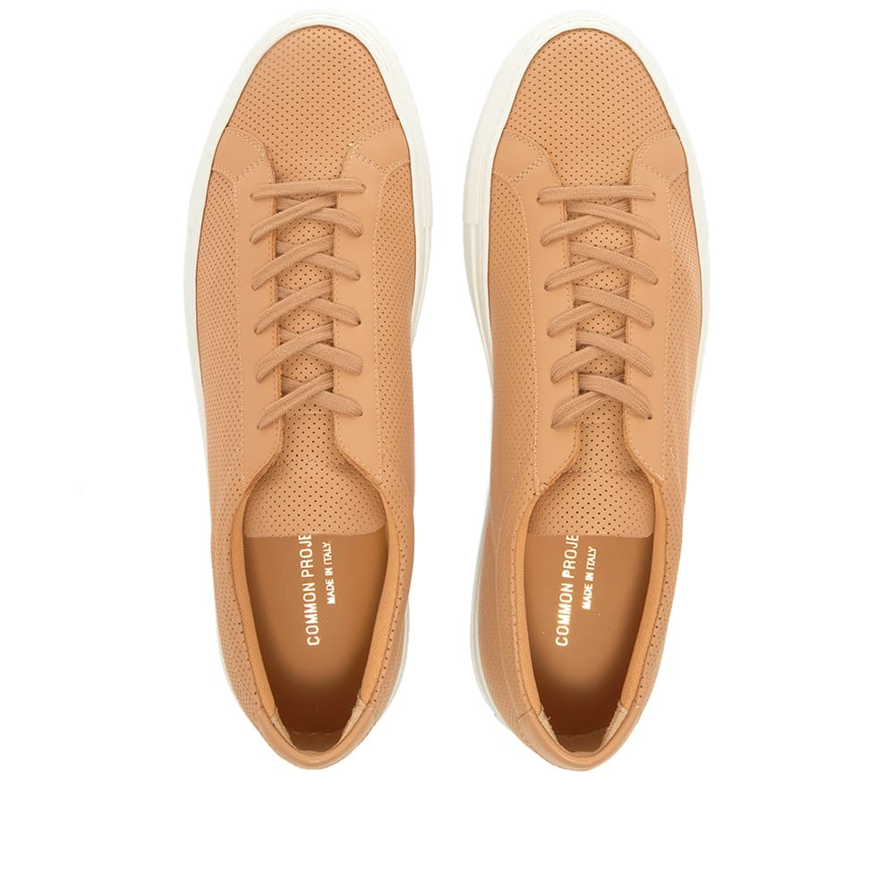 Common Projects Achilles Low Perforated - 5