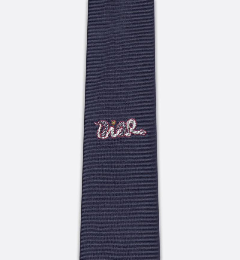 DIOR AND KAWS Tie 5