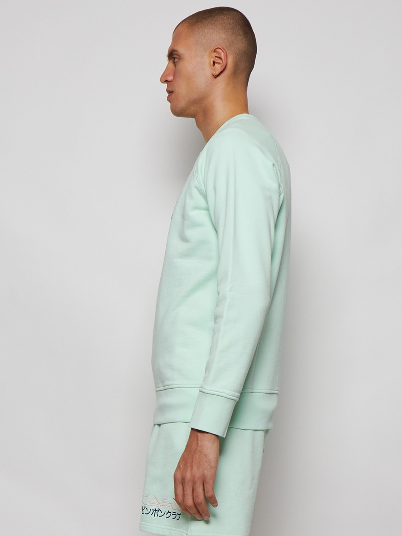 Embroidered Raglan Sweatshirt Green 4