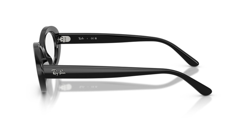 RB2223V OPTICS 5