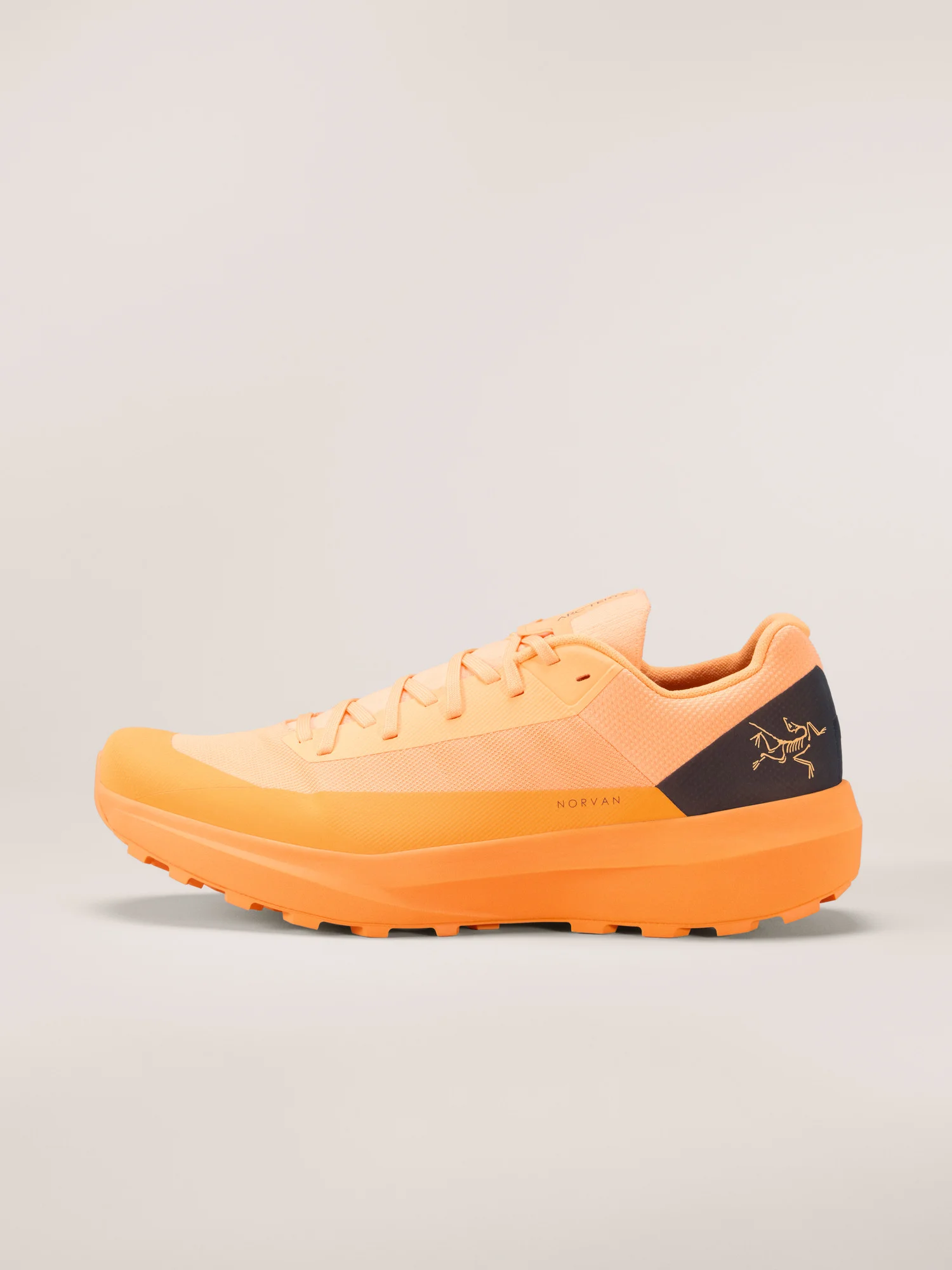 Norvan LD 4 Shoe - 1