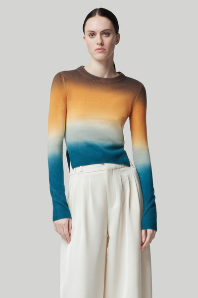 Altuzarra 'CAMARINA' SWEATER outlook