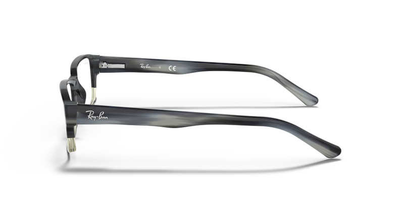 RB5169 OPTICS 5