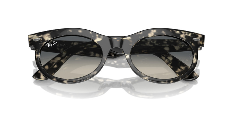 WAYFARER OVAL 6