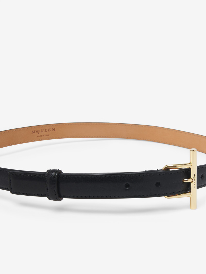 T-Bar Hip Belt 3