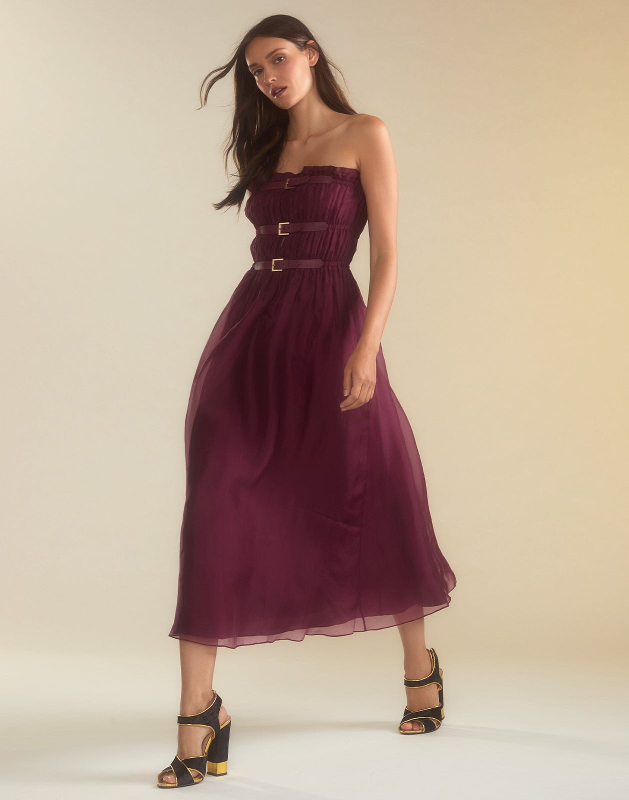 Buckle Up Silk Organza Dress - 3