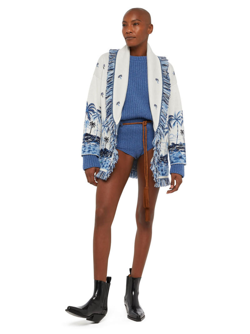 The Tale Of A Hawaiian Cardigan 3