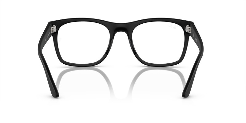 RB7228 OPTICS 6