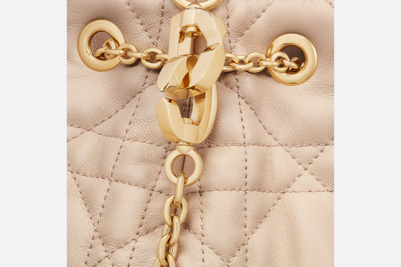 Large Dior Ammi Bag 5