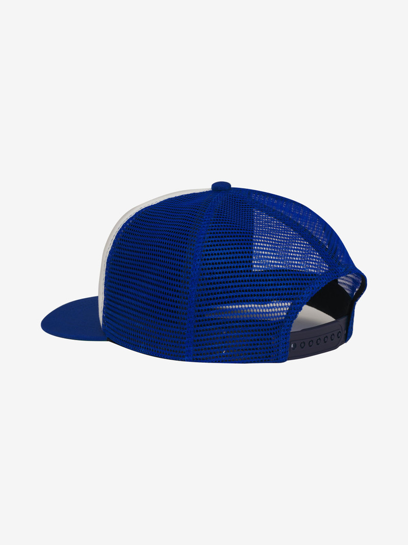 EAGLE DREAM TRUCKER HAT 3