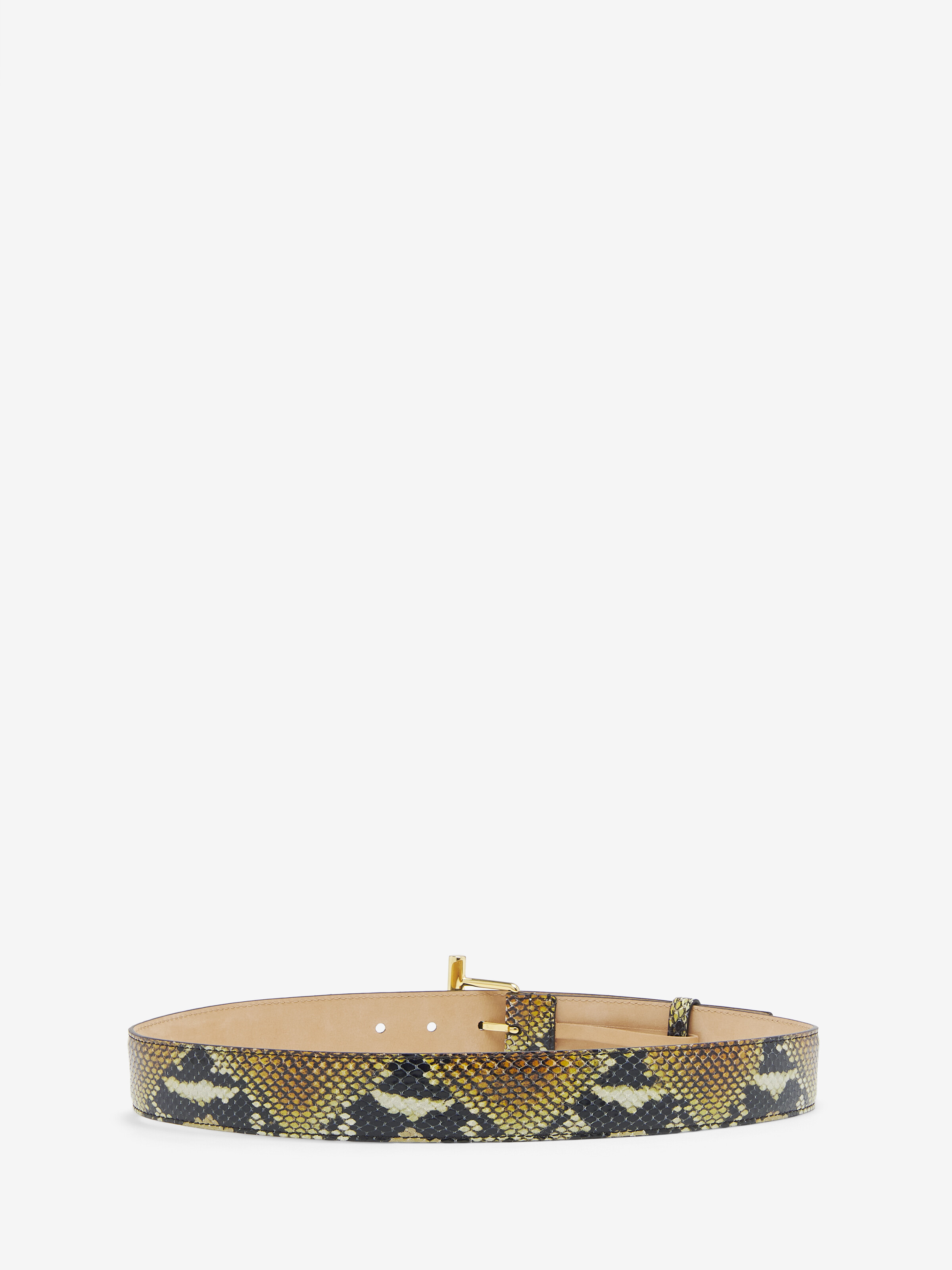 T-Bar Hip Belt - 2