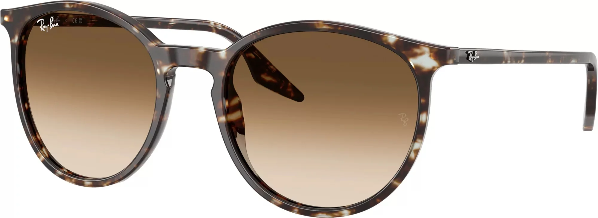 Ray-Ban RB2204 Sunglasses - 1