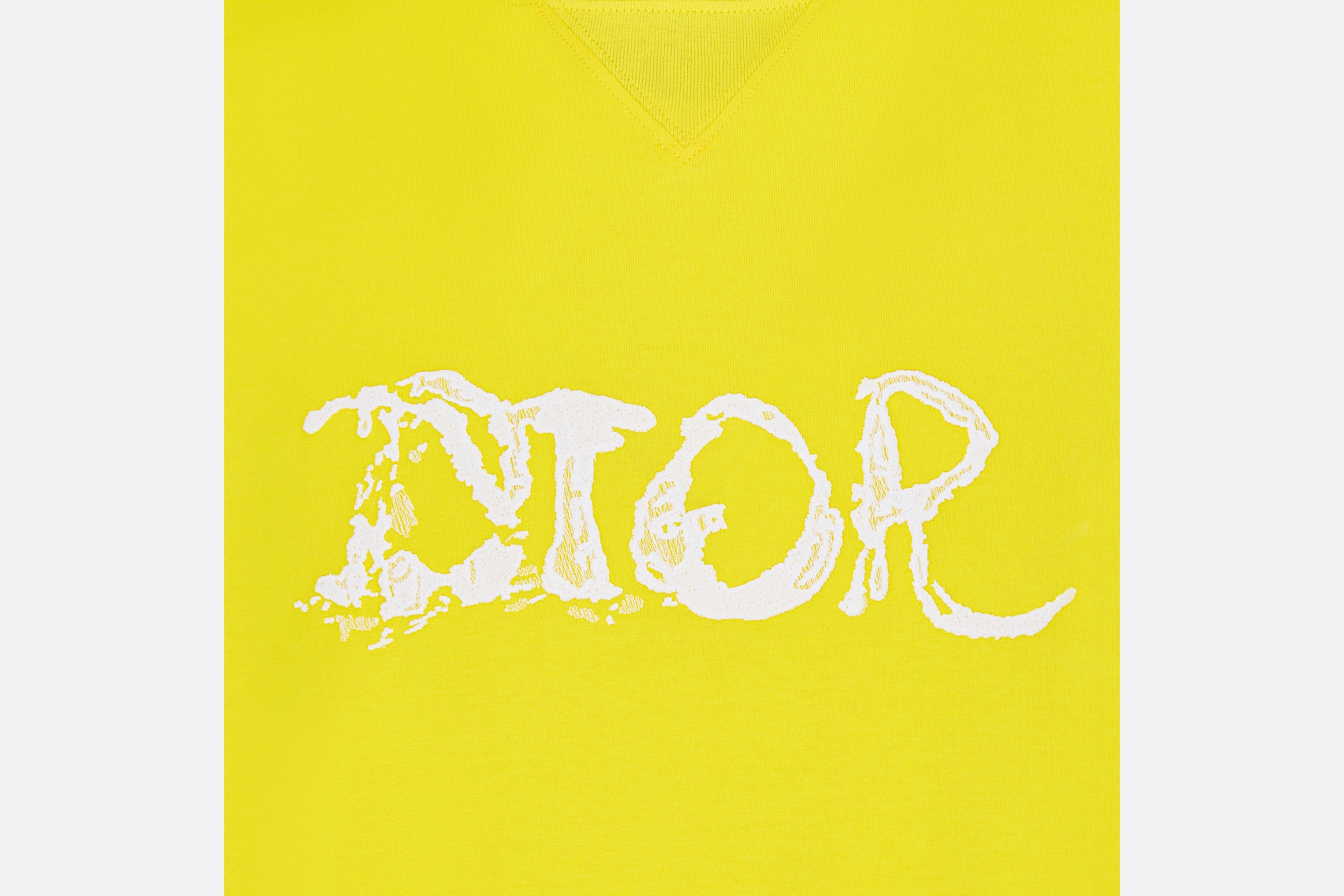 Oversized DIOR AND PETER DOIG T-Shirt - 3