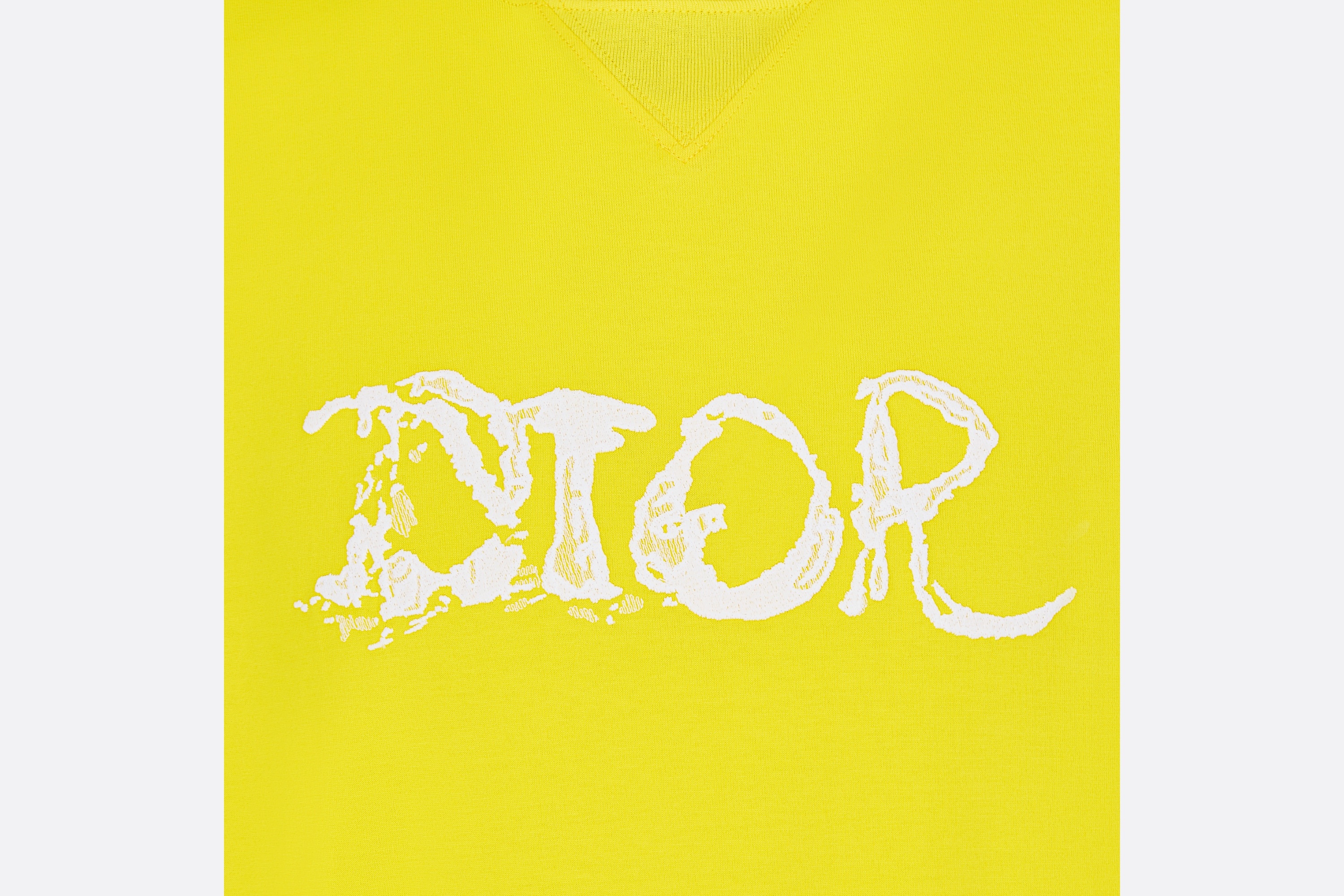 Oversized DIOR AND PETER DOIG T-Shirt - 3