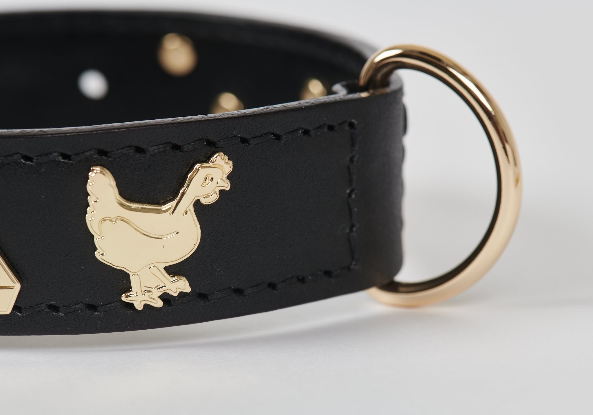 METALICO DOG COLLAR BLACK - 4