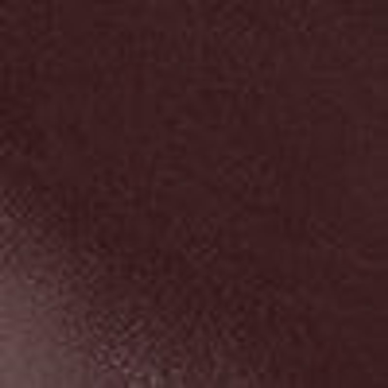 Prudens Pump in Leather 5