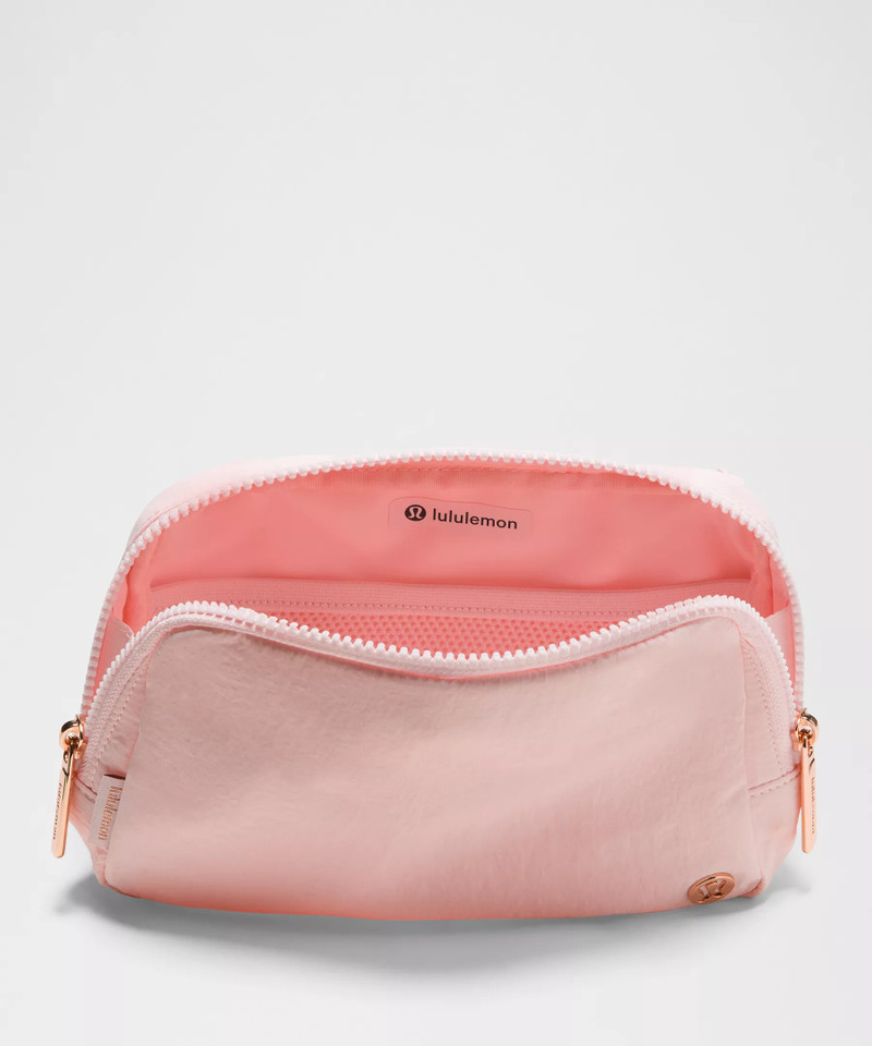 Everywhere Belt Bag Large with Long Strap 2L 5