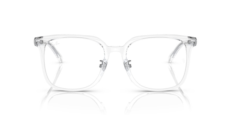RB5419 OPTICS 4