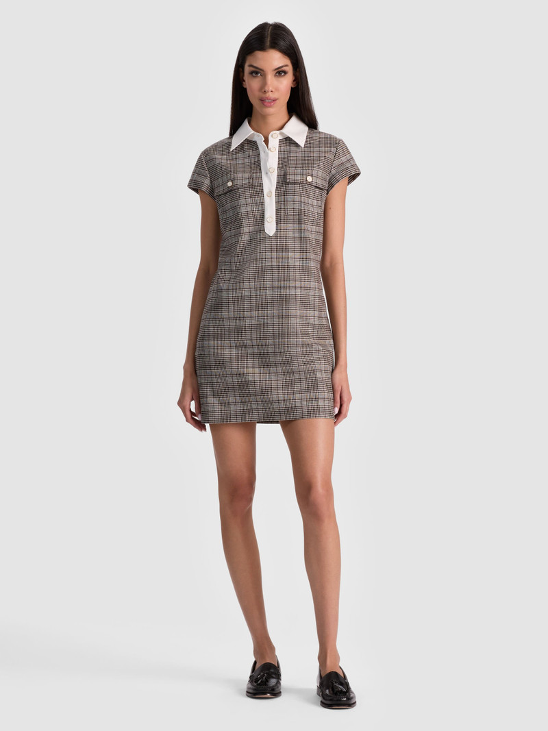DARBY MINI DRESS 1