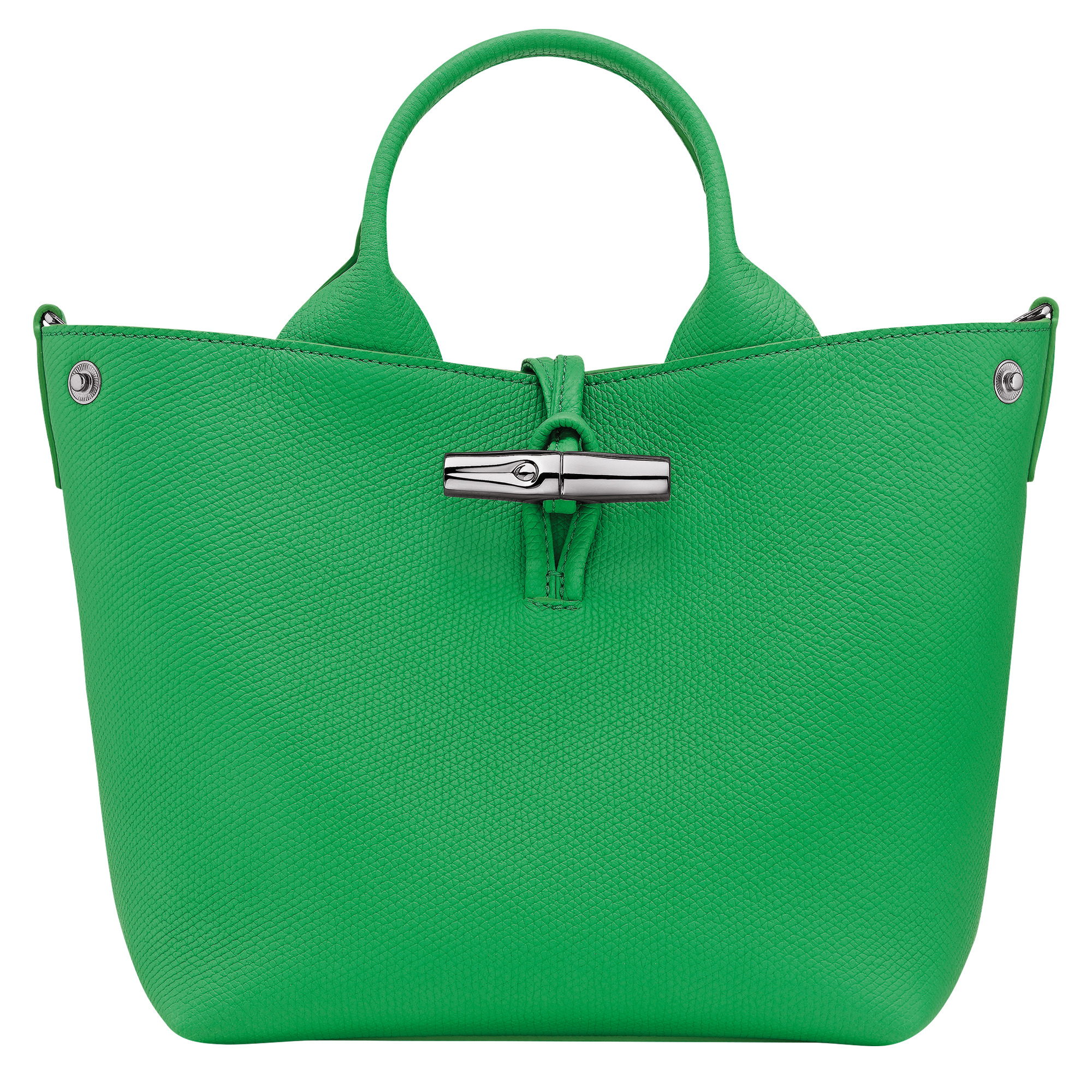Le Roseau S Handbag Spring Green - Leather - 5