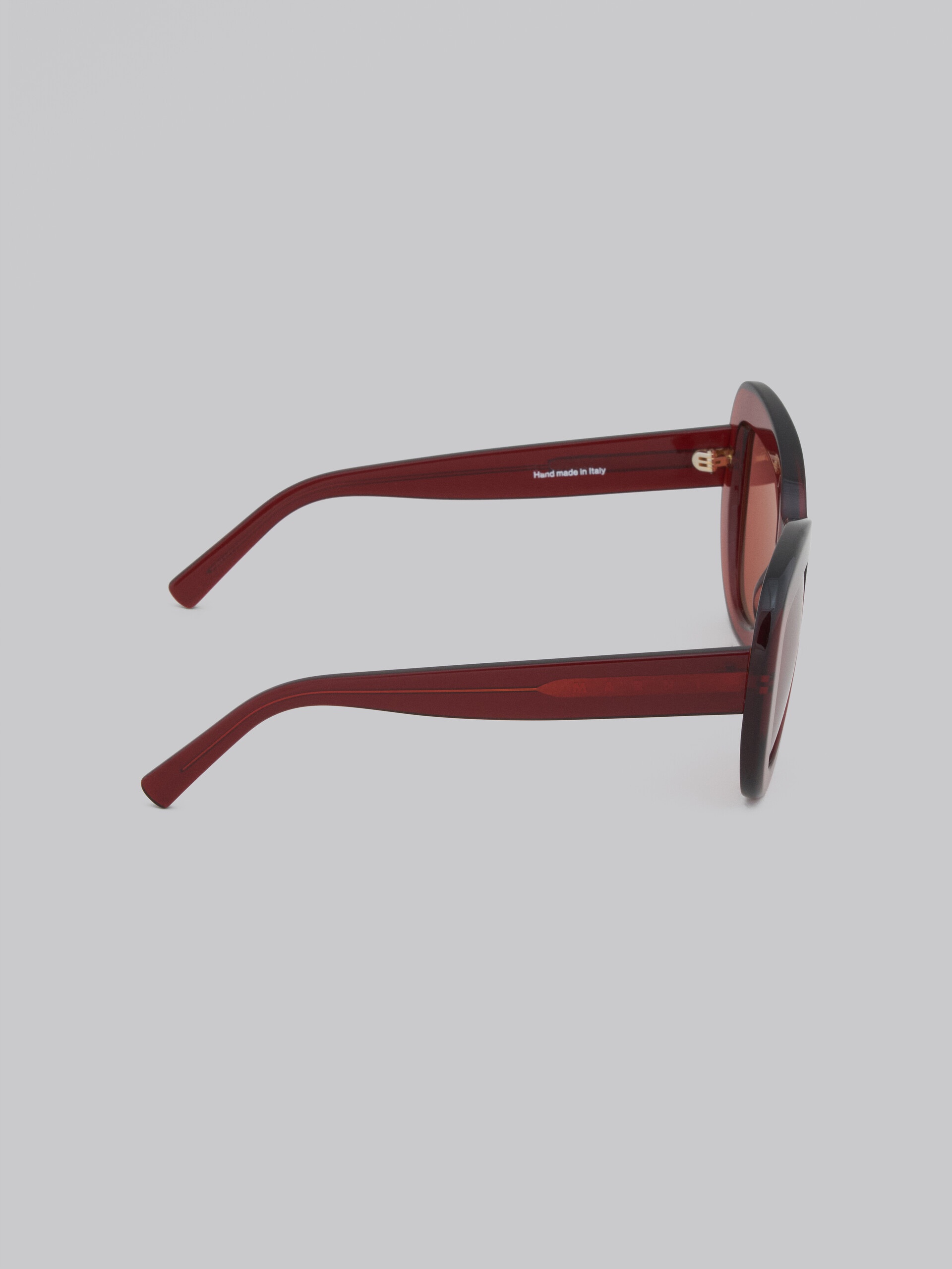 BURGUNDY ACETATE ELEPHANT ISLAND SUNGLASSES - 3