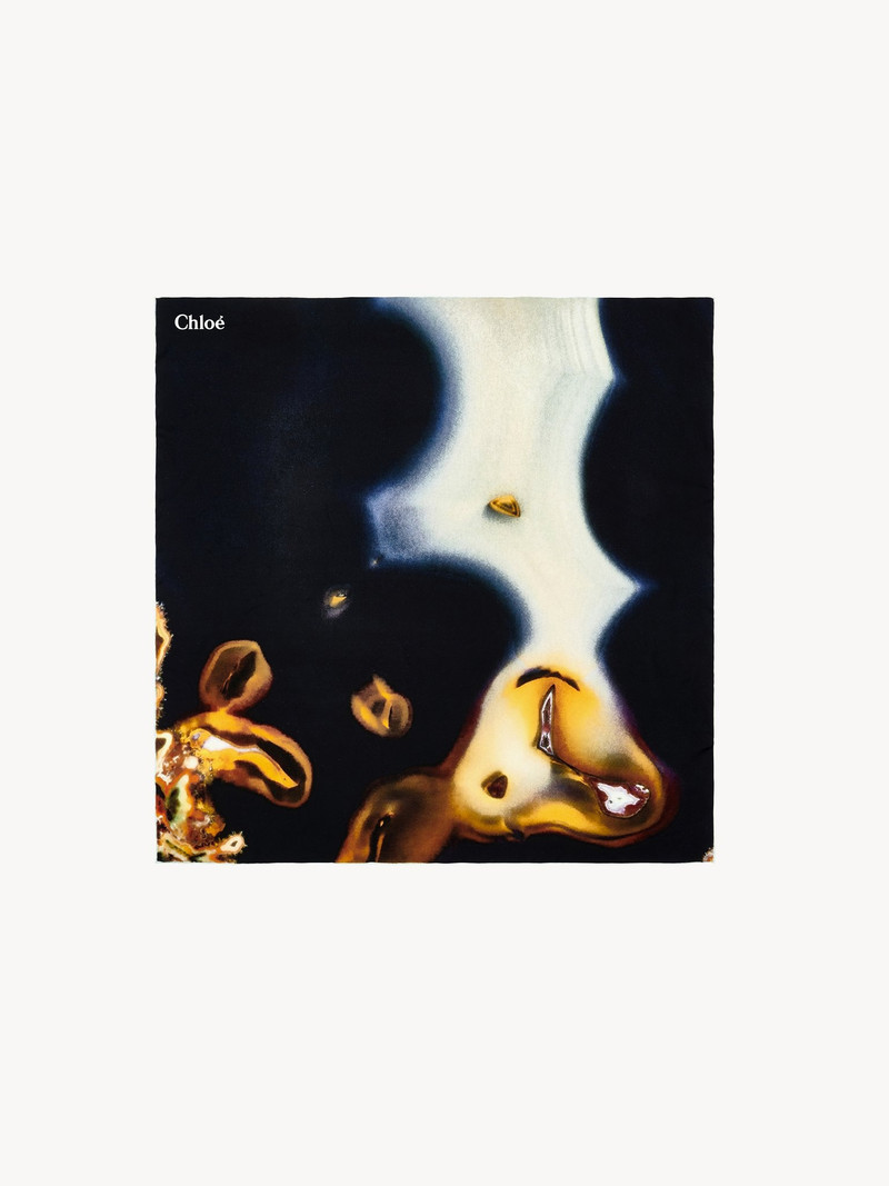 Chloé PRINTED SCARF outlook