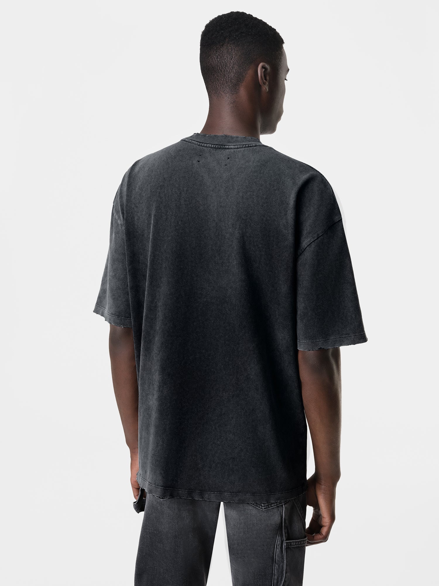 AMIRI AMIRI HIGH LION SKATER TEE | REVERSIBLE