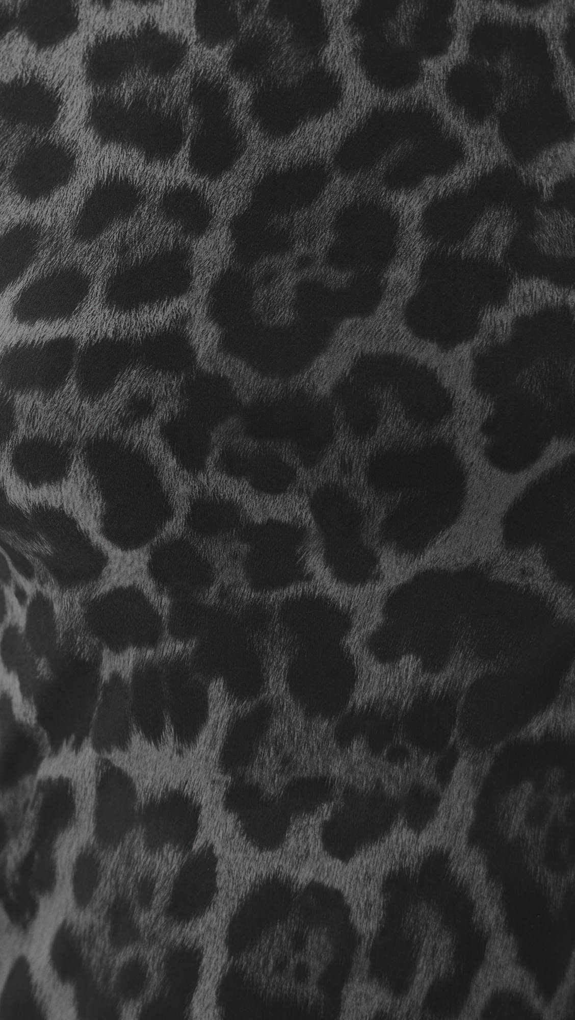 Leopard Print Top - 5