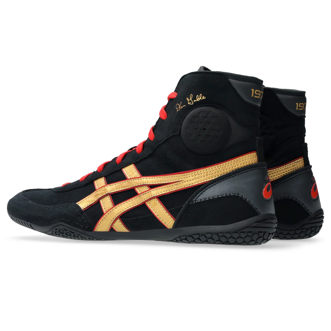 DAN GABLE EVO 3 - 3