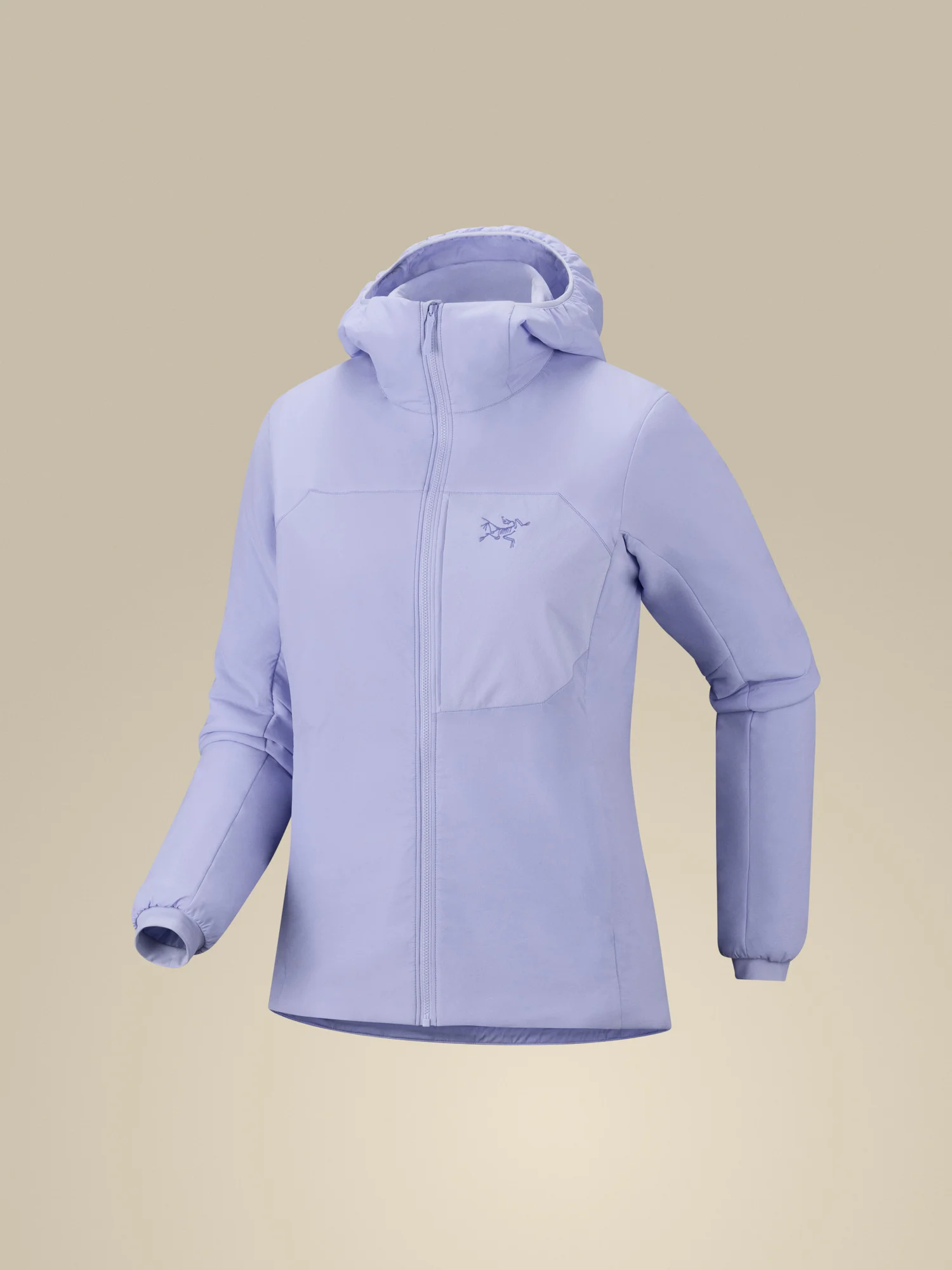 Proton Hoody - 1