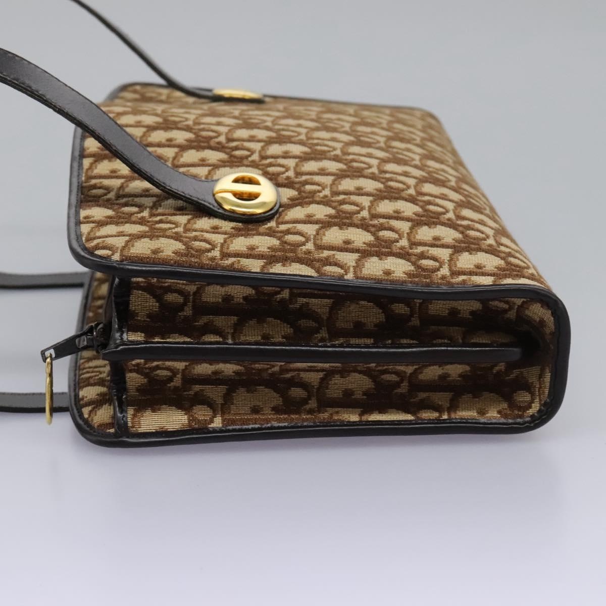 DIOR Trotter Canvas Hand Bag Brown - 4