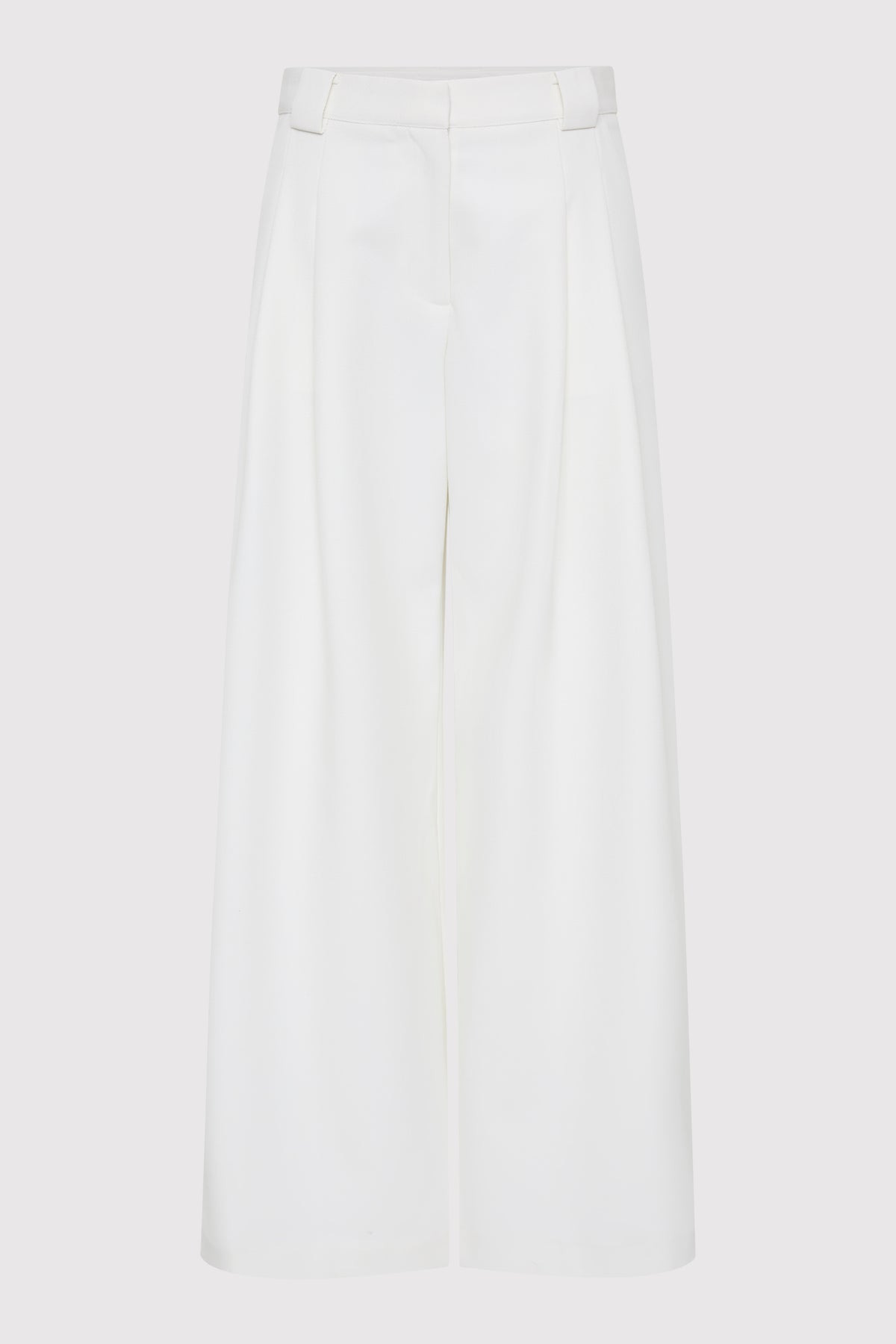 Twill Wide Leg Pleat Pants - Off White - 1