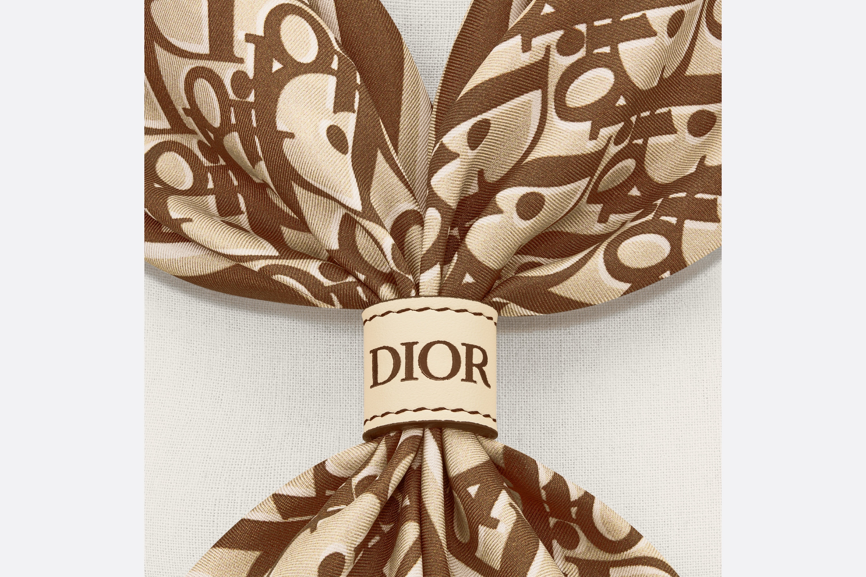 Dior Oblique Bandana - 3