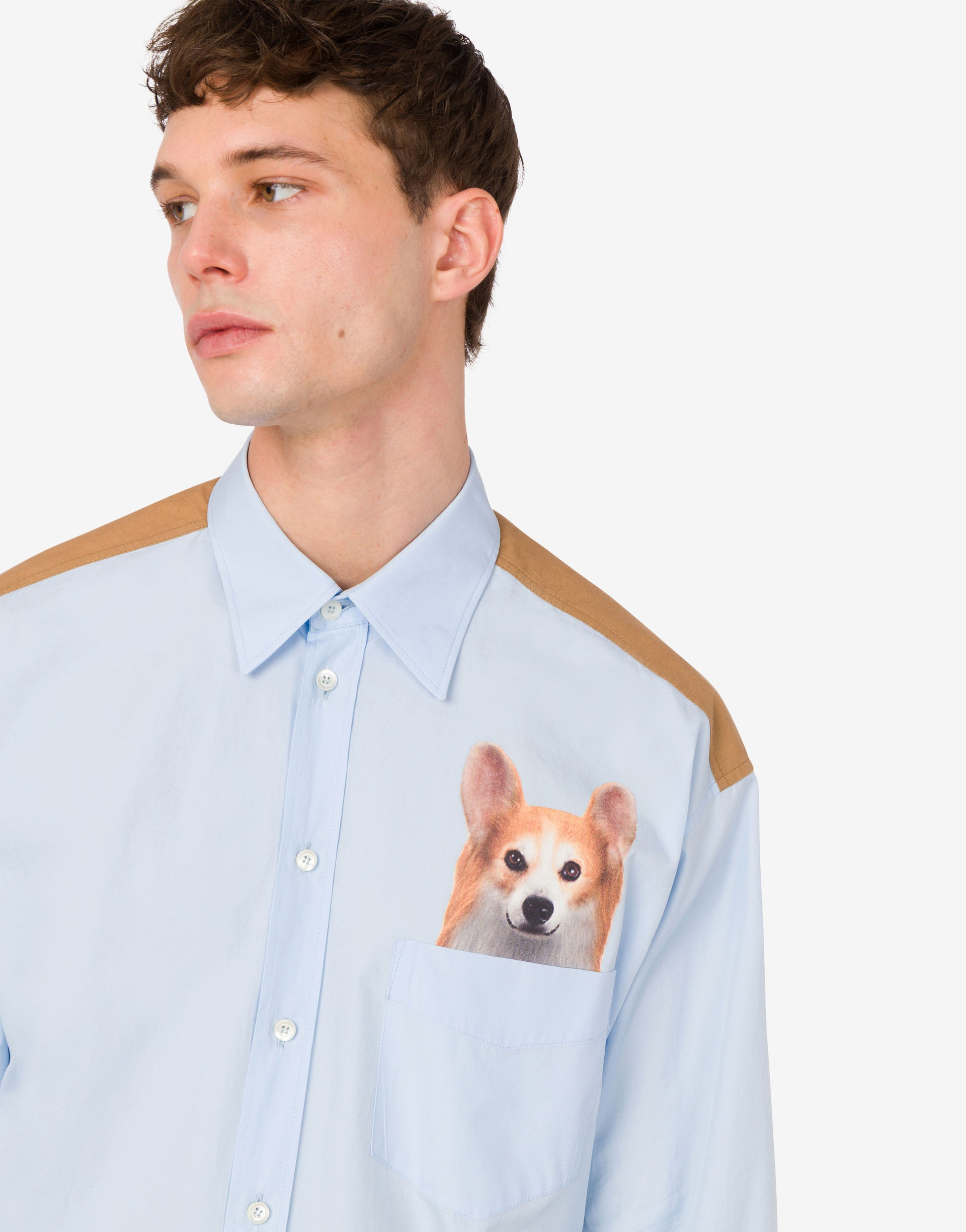 PRINTED COTTON POPLIN SHIRT - 4