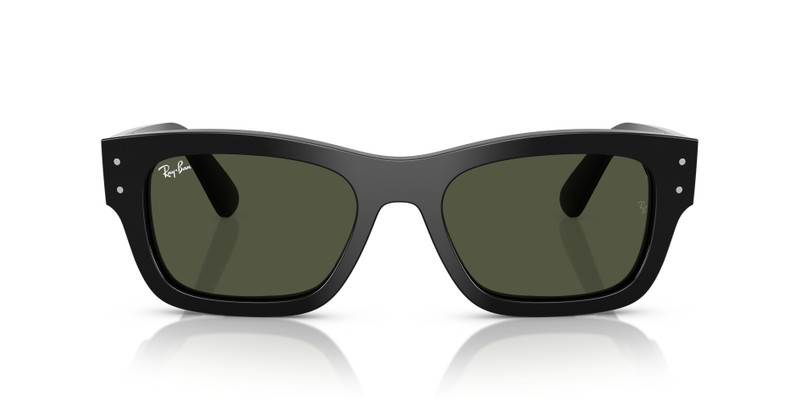 Ray-Ban RB7683S Joseph outlook