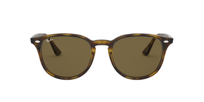 Ray-Ban RB4259 outlook