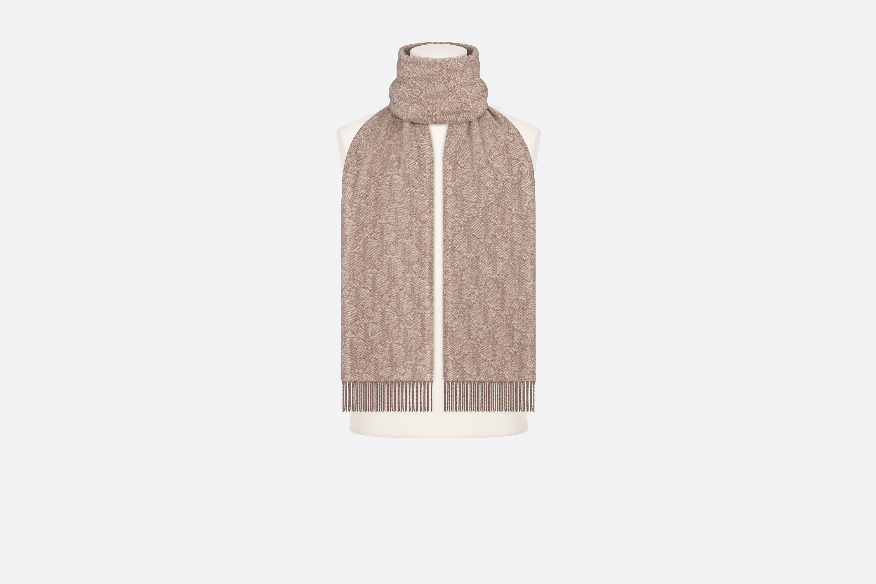 Dior Oblique Double-Sided Scarf - 4