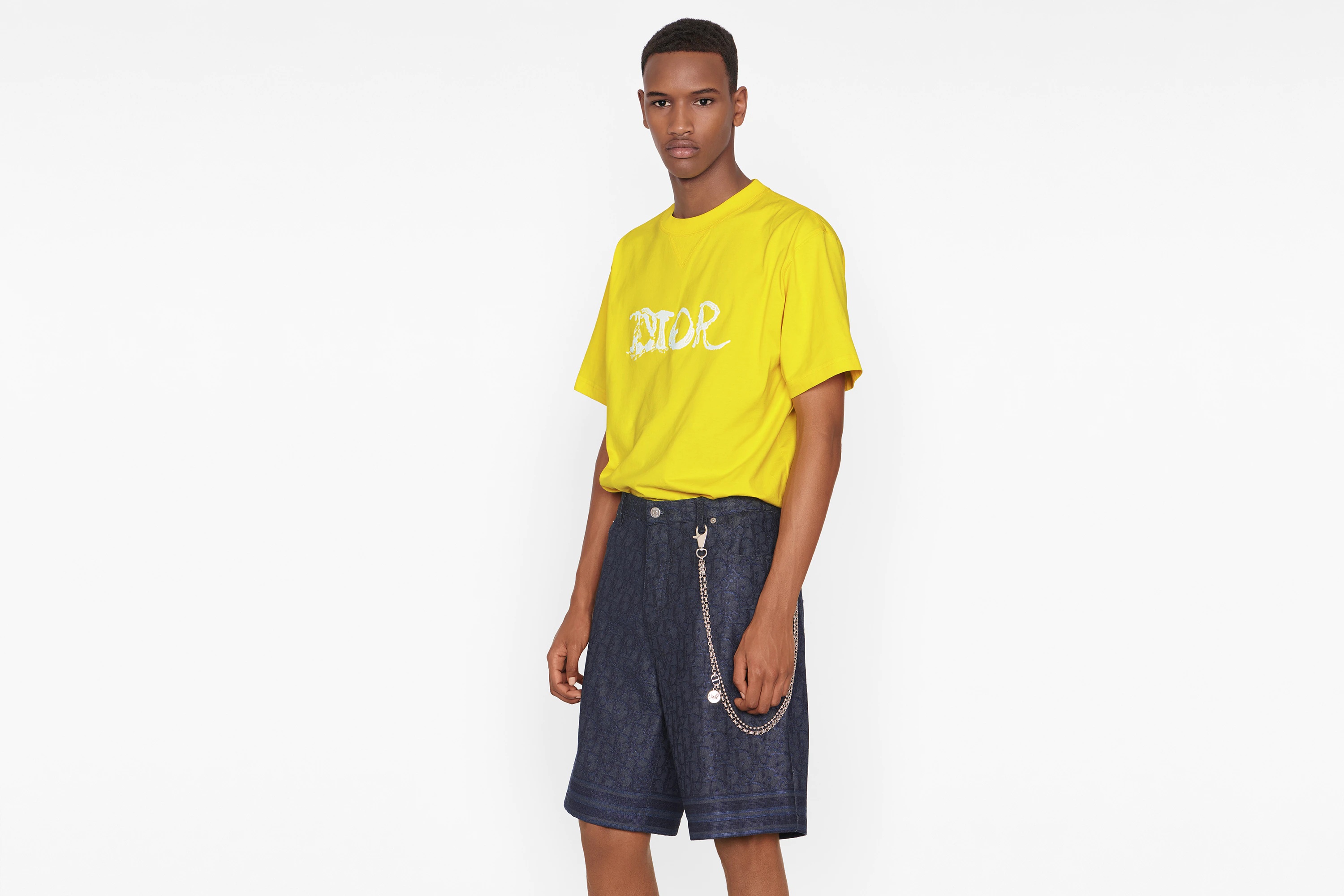 Oversized DIOR AND PETER DOIG T-Shirt - 4