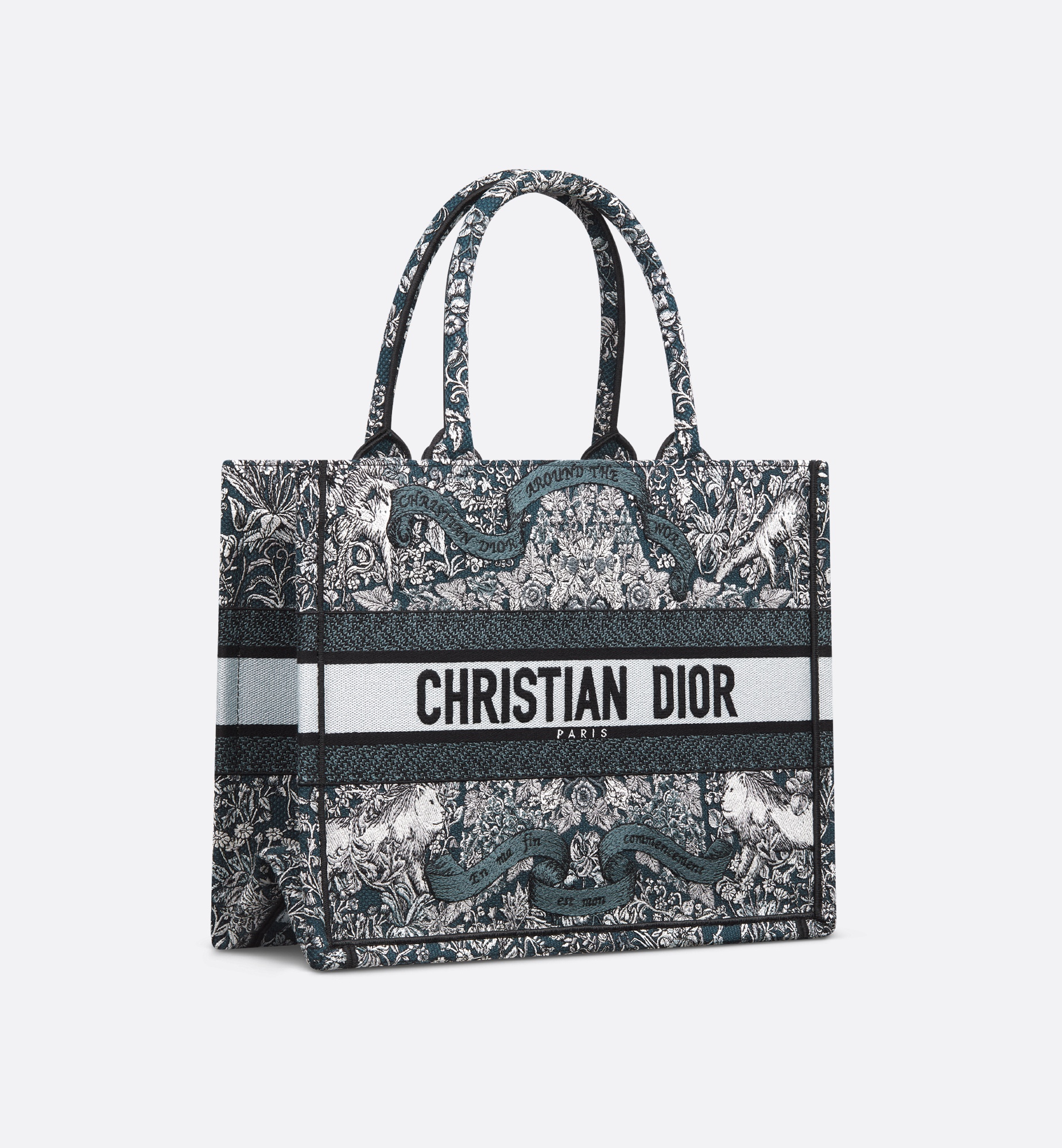 Medium Dior Book Tote - 4