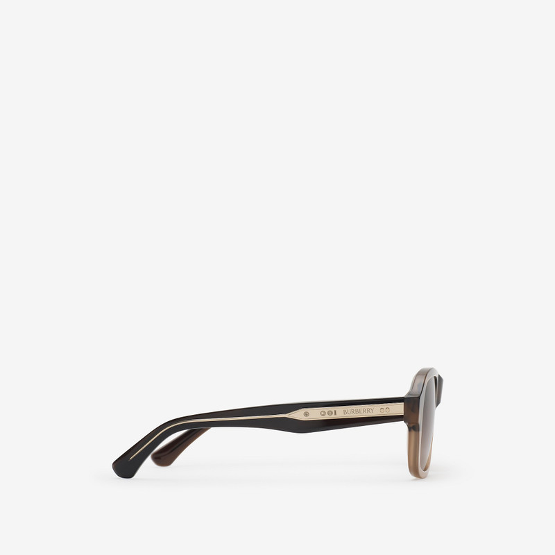Classic Pilot Sunglasses 3