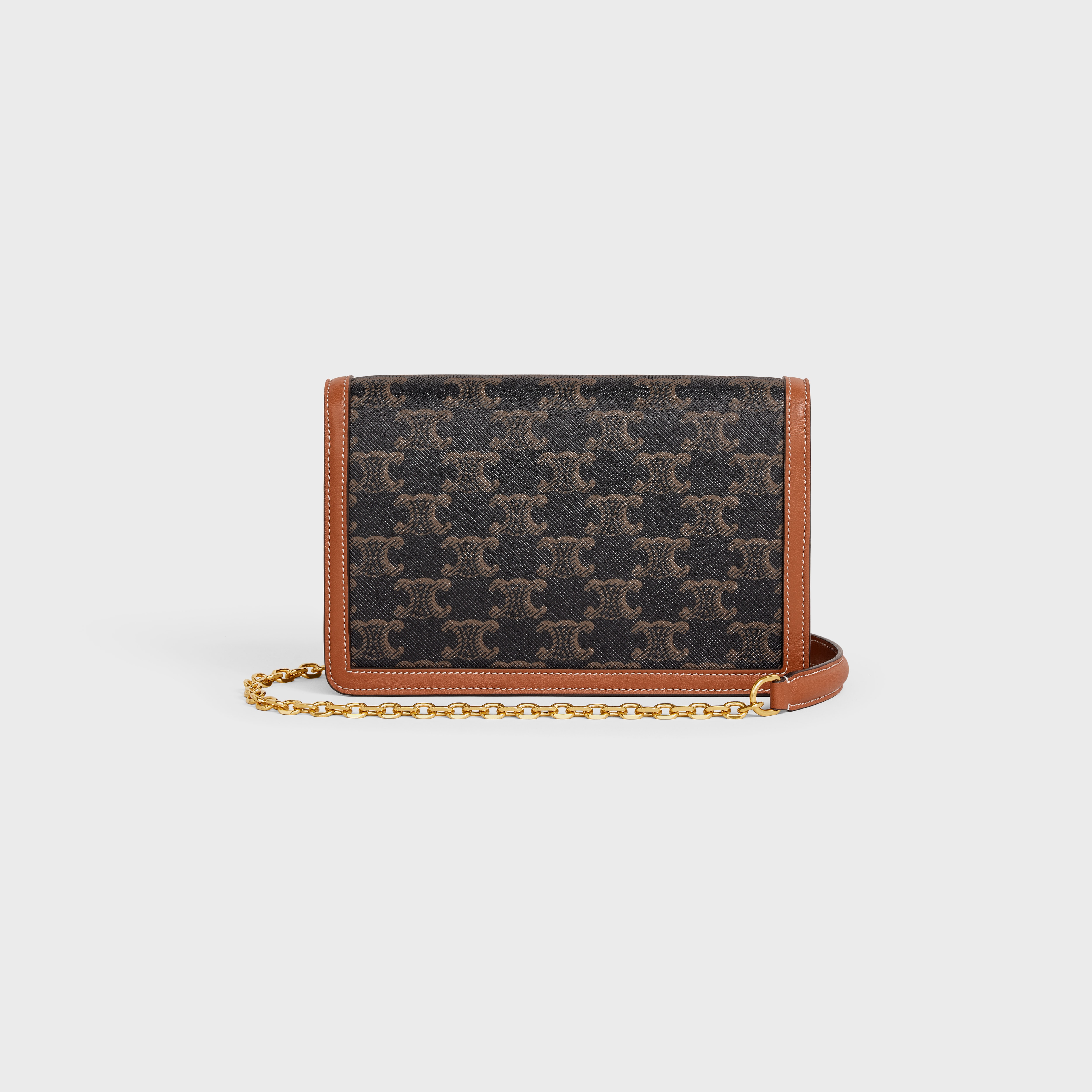 WALLET ON CHAIN in triomphe canvas and lambskin - 3
