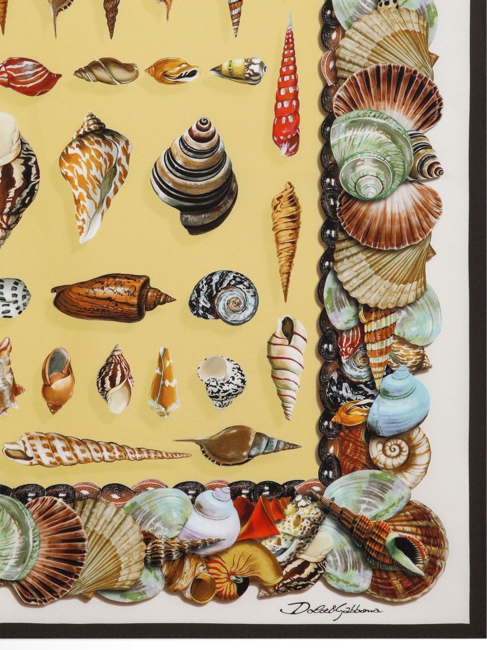 shell-print silk scarf - 2